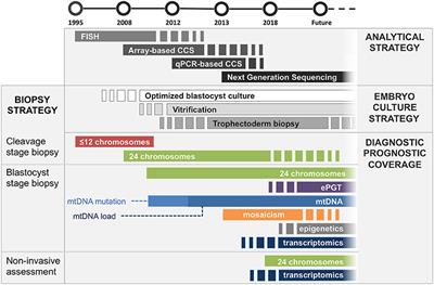 Past, Present, and Future Strategies for Enhanced Assessment of Embryo's Genome and Reproductive Competence in Women of Advanced Reproductive Age